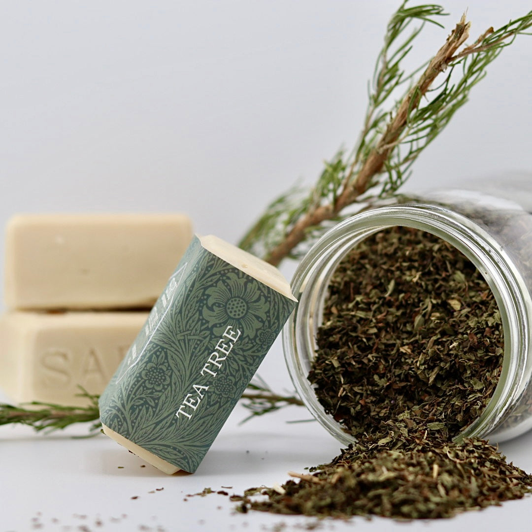 Tea Tree Soap